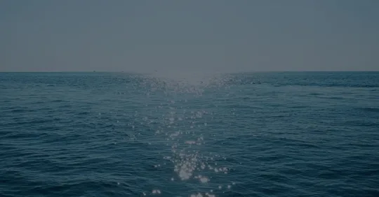 Sunlight glimmering on the ocean